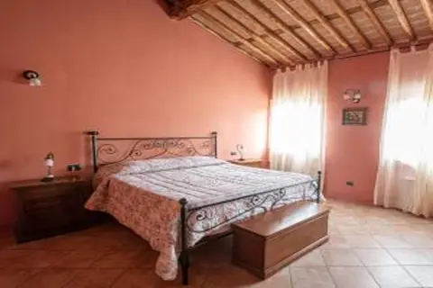 Fattoria Borgo La Torre in Montecarlo, foto 6