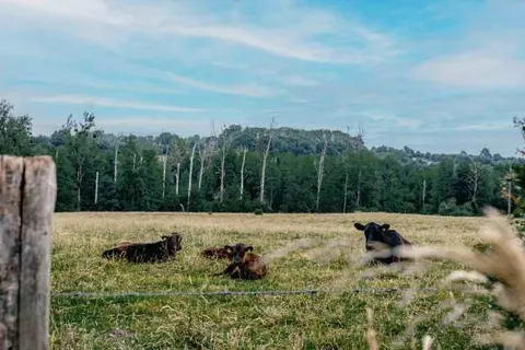 Landgoed Altenbroek foto 7