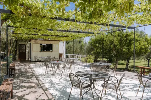 Agriturismo Masseria San Martino in Fasano, foto 3