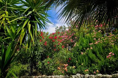 Appartementen Kefalonia View by Alex in Μουσάτα — foto 19