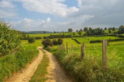 Grand Hotel Monopole foto 16