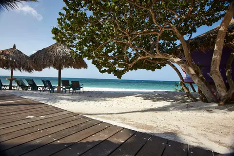 Hotel Divi Dutch Village Beach Resort in Punta Brabo — foto 18