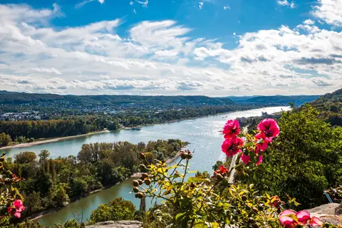 Over de Rijn naar Mannheim 'Heidelberg aan de Neckar' in Rijn — foto 3