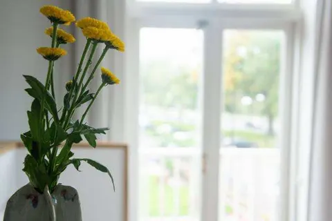 Boetiekhotel Villa Wanrooy foto 6