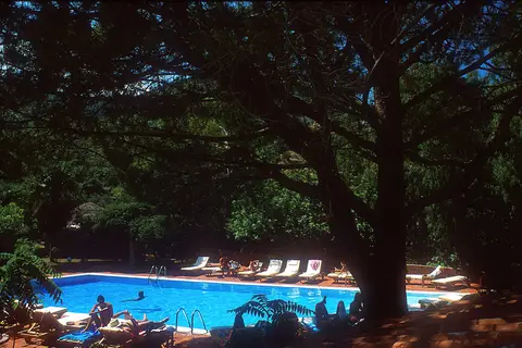 Alberi del Paradiso in Cefalu — foto 5