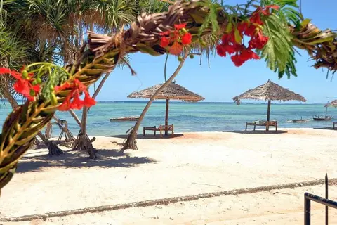 Nest Style Beach Hotel Zanzibar in Makunduchi — foto 24