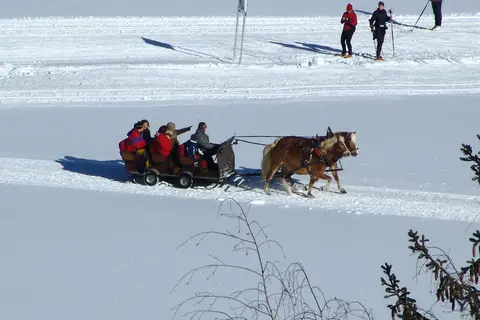 Hotel Post in Ramsau am Dachstein — foto 10