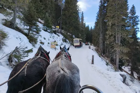 Kerst en Oud en Nieuw in Karinthië, Gmünd foto 30
