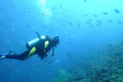 Camping Solaris Fkk Naturist in Vabriga — foto 19