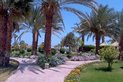 Lotus Bay in Lotus Bay Hotel, foto 14