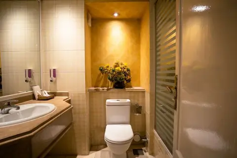 Swiss Inn Nile Hotel in Gizeh, foto 15