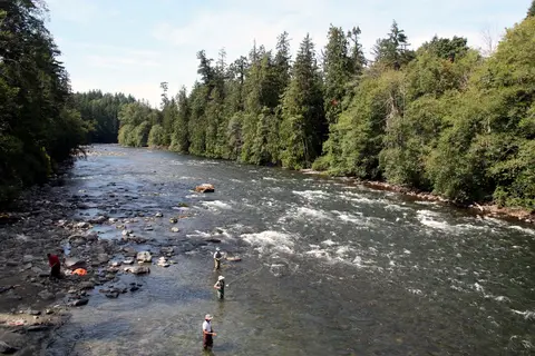 Mountain Country in Langford — foto 13
