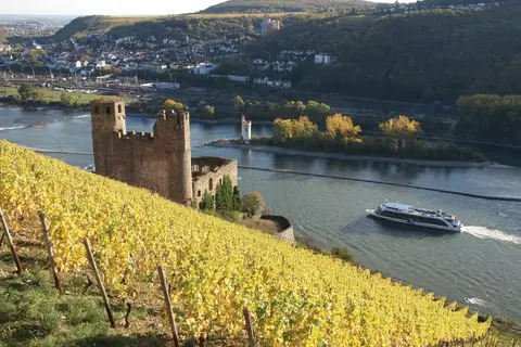 Hotel Felsenkeller in Rüdesheim am Rhein — foto 25