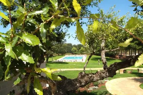 Tenuta Monacelle in Monopoli, foto 29