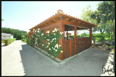 Flor da Laranja in Albufeira — foto 10