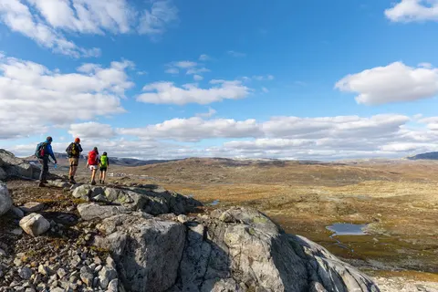 Noorwegen in een notendop foto 15