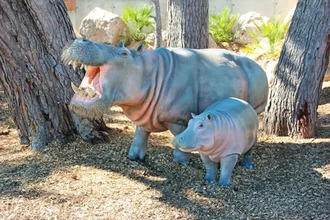 Camping Sanguli foto 25