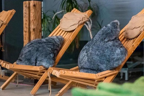 Hotel Lux Alpinae foto 9