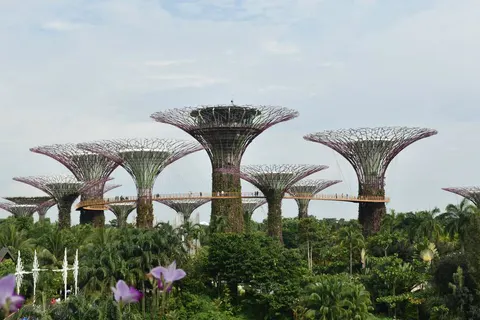 Perfect Match Singapore & Vietnam in Singapore