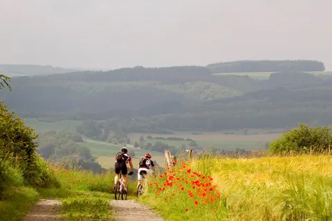 Aux Tanneries de Wiltz in Wiltz — foto 5