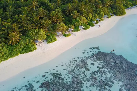 Plumeria Maldives in Thinadhoo, foto 24