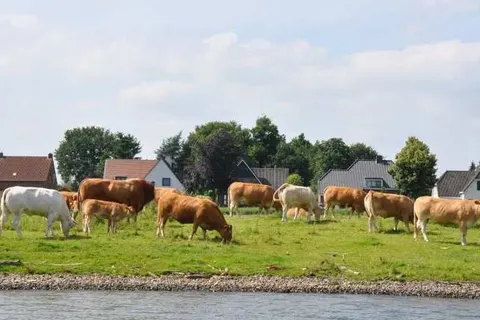 Erfgoedlogies d&ampapos;Ouffenhoff foto 15