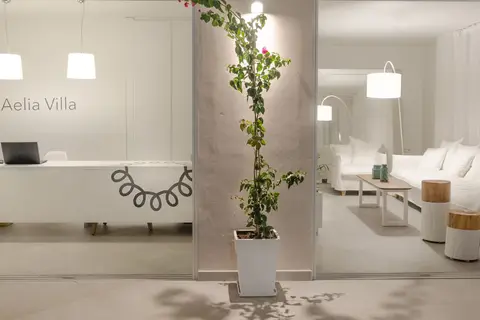 Aelia Villa Thassos in Θάσος