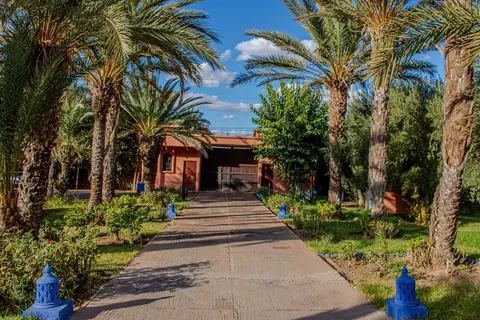 Las Palmeras in Marrakech — foto 18