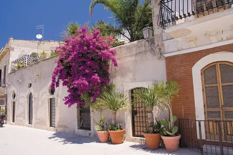 Authentiek Sicilië in agriturismo foto 2