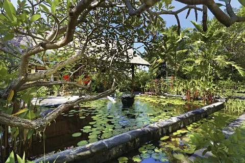 Mimpi Resort Menjangan in Gerokgak — foto 17