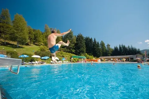 Vakantiepark Alpenchalets Flachauer Gutshof foto 42