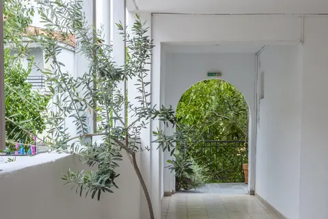 Hotel Skentos in Δημοτική Ενότητα Κασσάνδρας — foto 28