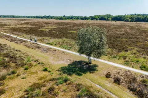 De Bonte Wever in Assen — foto 55