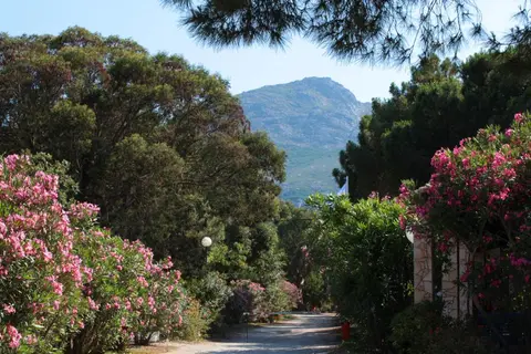 Camping Bella Vista in Calvi — foto 15