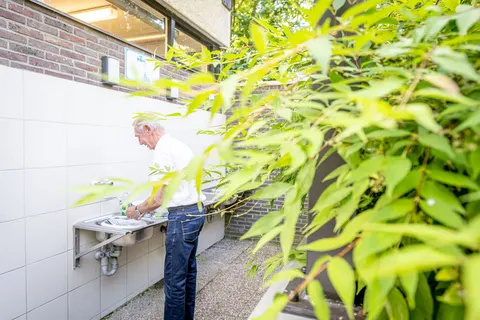 Camping Urban Gardens Gent foto 14