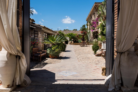 Azienda Vecchia Masseria foto 23