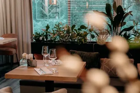 Witte Berken Natuurhotel foto 28