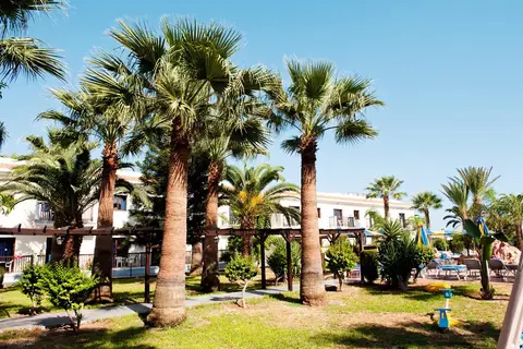 Loutsiana Hotel Apts in Ayia Napa — foto 5