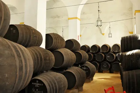 Ontdek Andalusië in 8 dagen in Hernani — foto 15