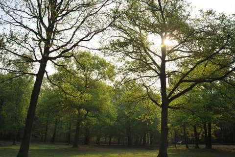 Hotel Mastbosch Breda foto 20