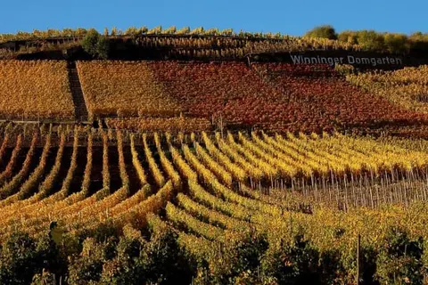 Hotel Emmerich foto 24