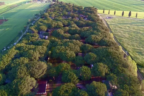 Camping Costa D Argento foto 31