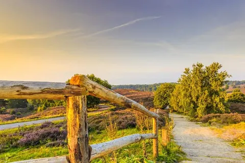 Landgoed Stakenberg foto 13