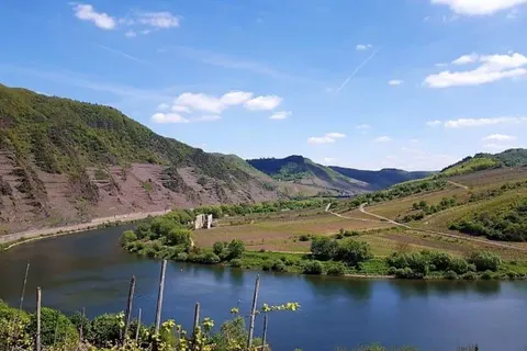 Hotel Restaurant Weinhaus Berg foto 19