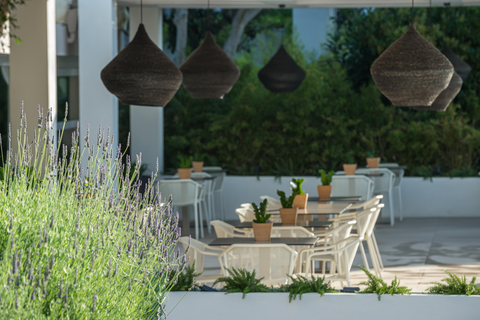 Hotel Bitzaro Grande foto 5