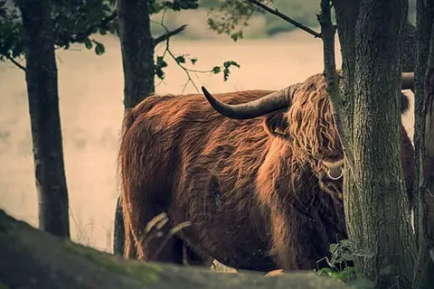 Grand Café Hotel Karsten foto 21