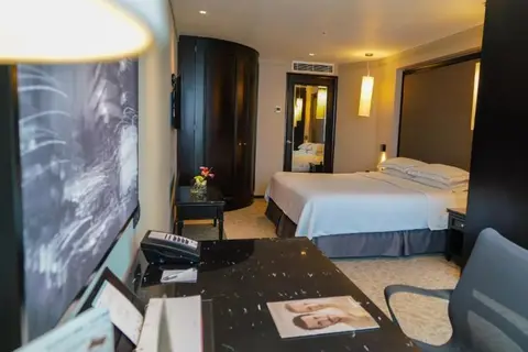 Barceló México Reforma in Ciudad de México, foto 24