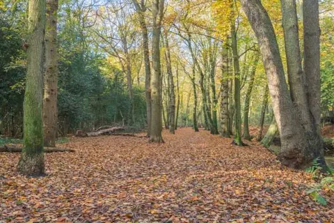 Hotel Zeebergen foto 30