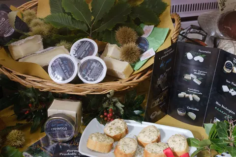 Camping Barco Reale foto 24