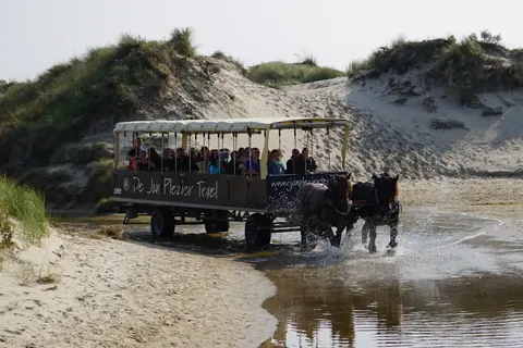 Vakantiepark Residentie Californië foto 5